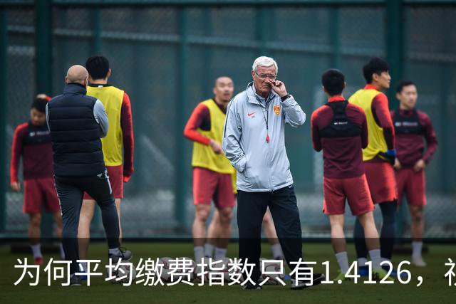 为何平均缴费指数只有1.4126，视同缴费指数却高达2.9753？